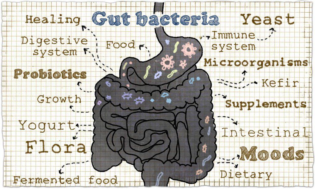 Keep It Real Episode 15: Inflammation & Your Microbiome