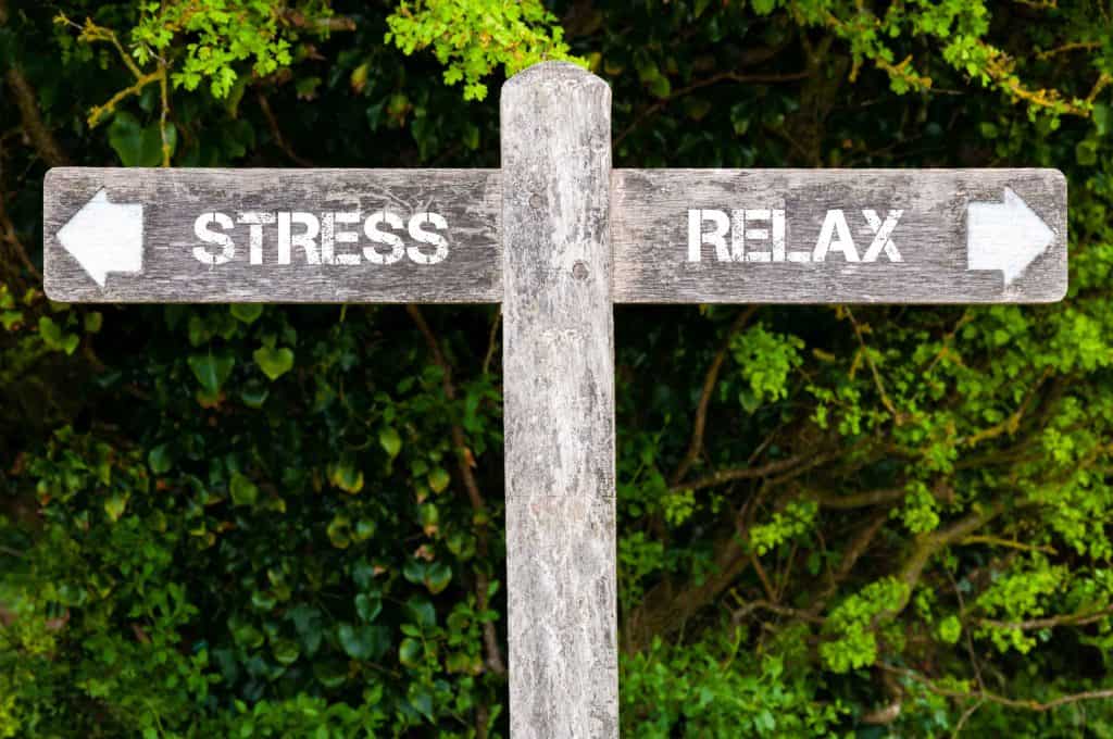 The Relationship Between Stress and the Adrenal Glands
