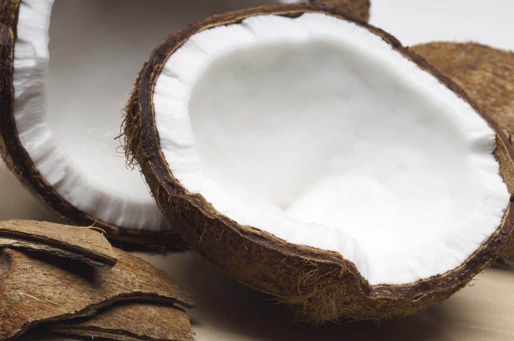 How Coconut Oil &  Modified Fasting Can Help Alzheimer’s