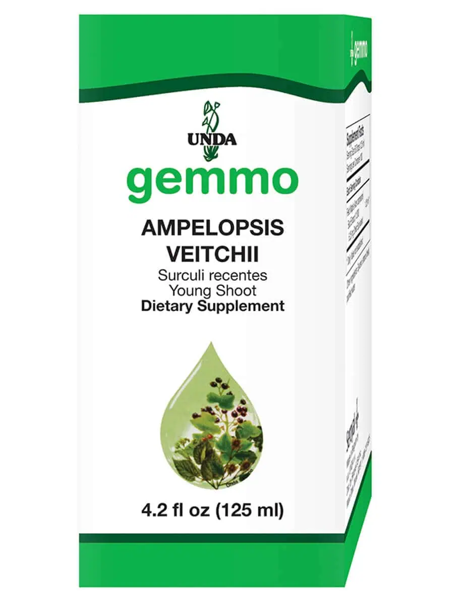 Ampelopsis Veitchii
