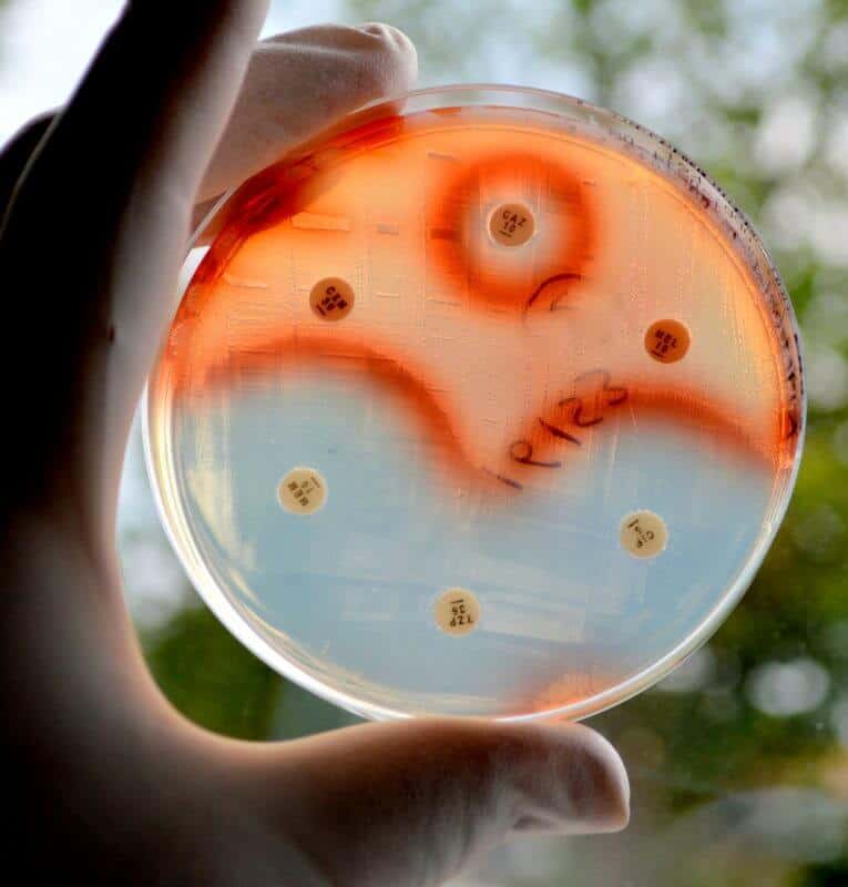 Antibiotic Resistance: Question Your Next Prescription