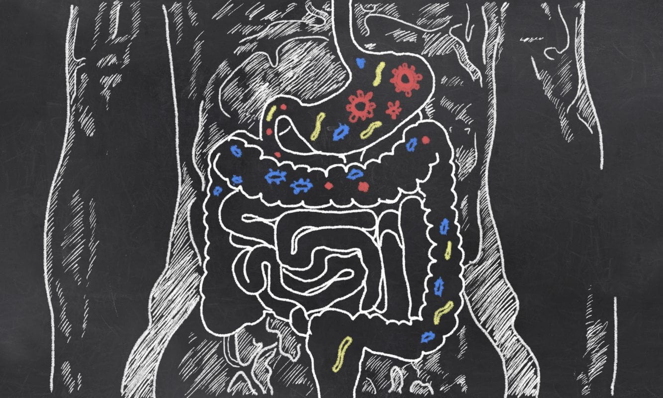 What Is Leaky Gut & How You Can Fix It