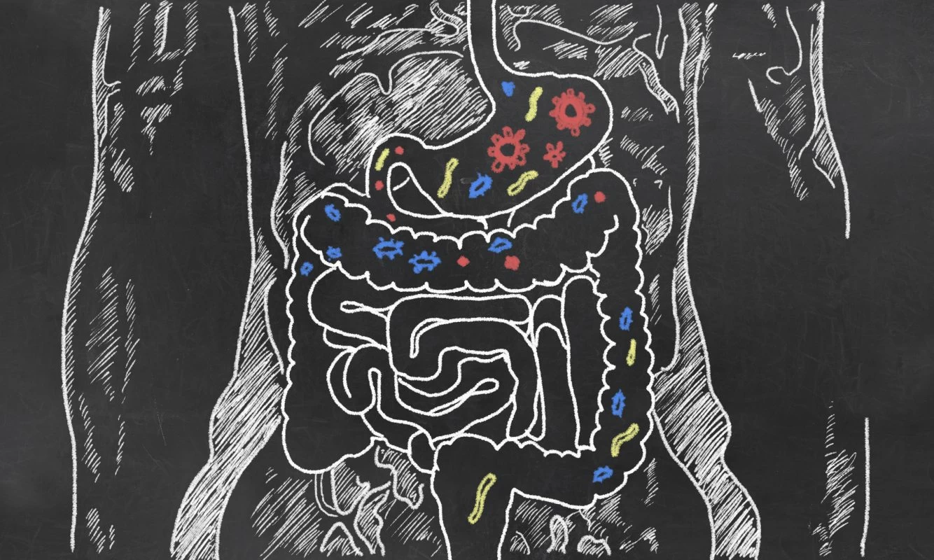 What Is Leaky Gut & How You Can Fix It