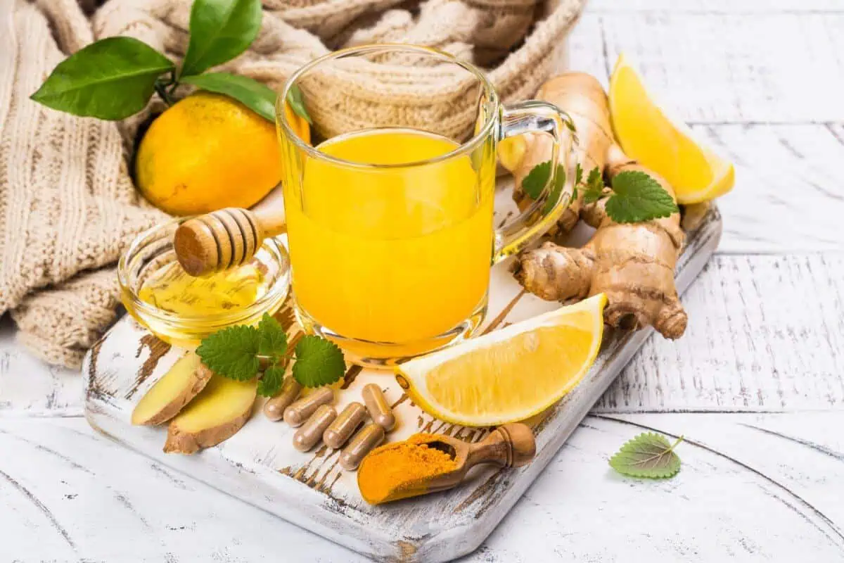 Foundational Immune Support