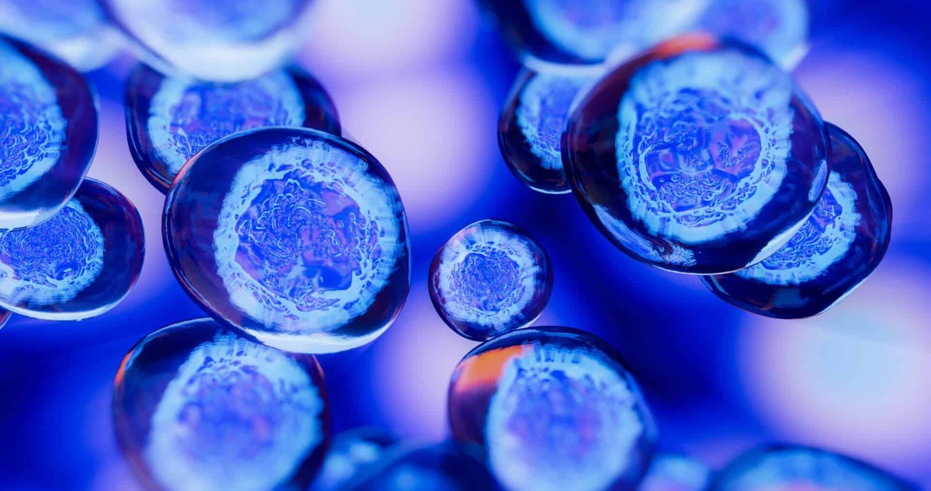 Understanding Nicotinamide riboside (NR)