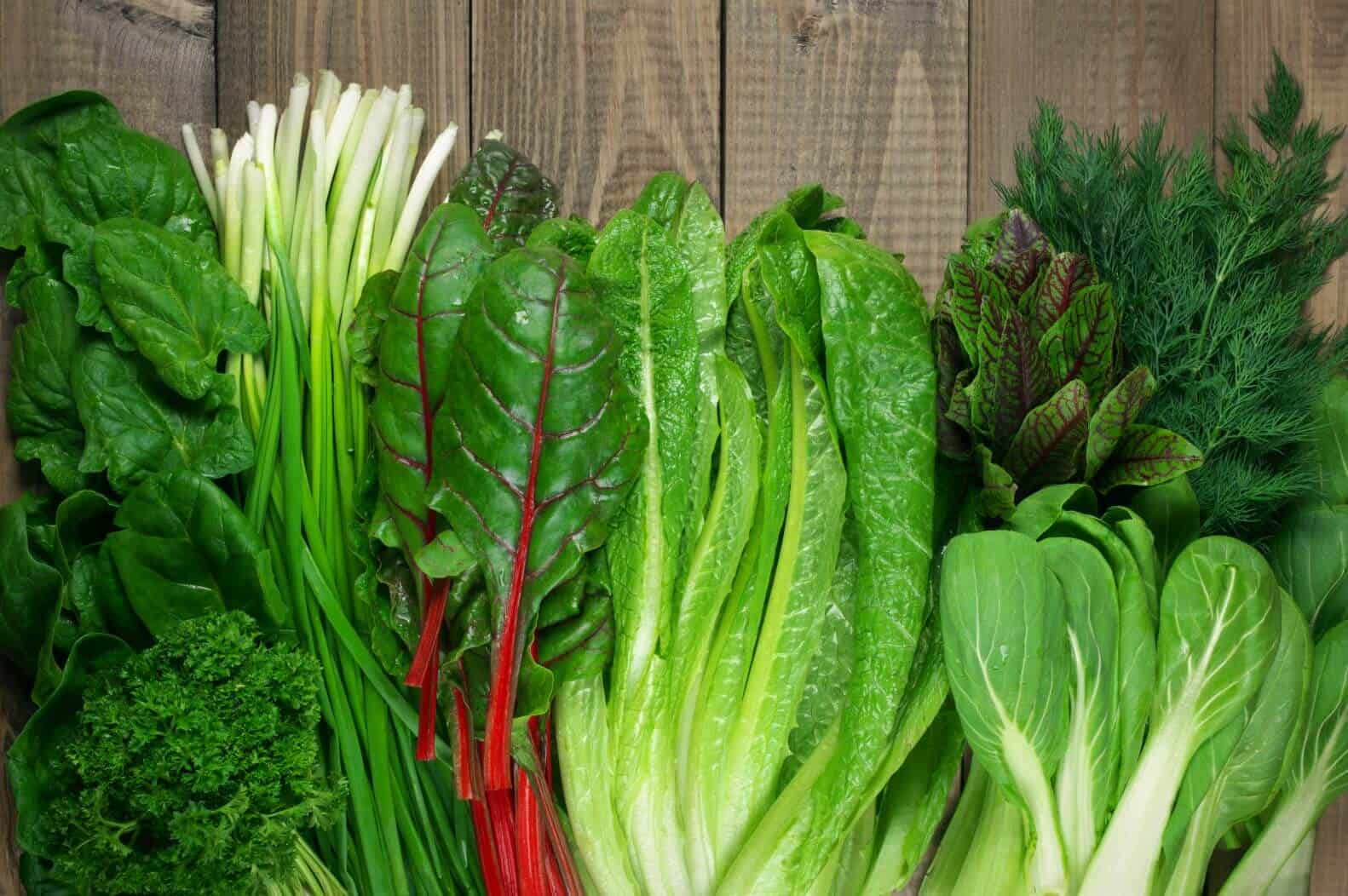 Phytonutrients: A Key Component for Immune Health