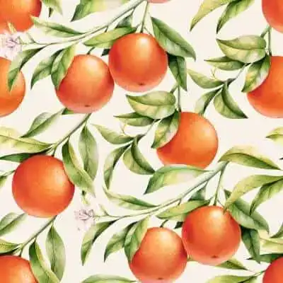 Vitamin C (Ascorbic Acid)