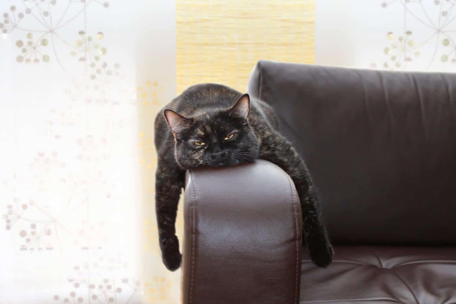 Your Stress Levels Are Higher Than Ever – Here’s Something You Can Do About It