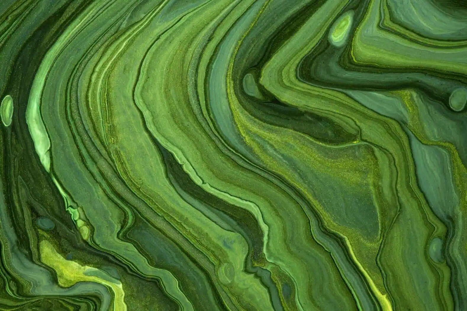 NewGreens Rhythm and Regularity Blend