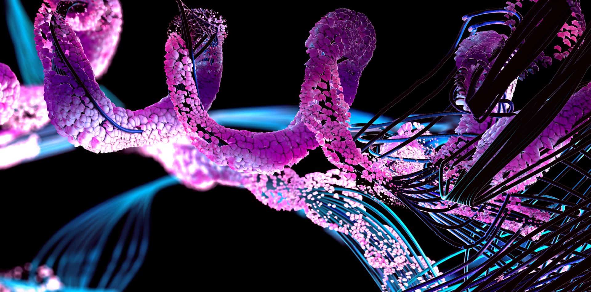 Exploring the World of Peptides for Health