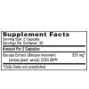 Equazen Acumen - with 320 mg of Bacopa monnieri extract CDRI 08® for cognitive and memory support.