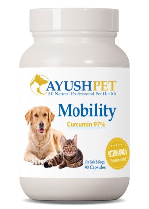 Ayush Herbs Pet Curcumin 97% -- turmeric supplement, antioxidant support.