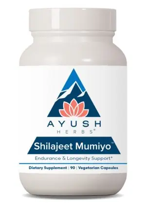 Ayush Herbs Shilajeet Mumiyo -- natural minerals, immune support.