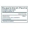 Schisandra Extract - Image 3